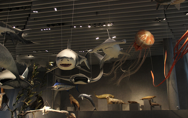 1474953628143370ERFo.jpg 10.jpg