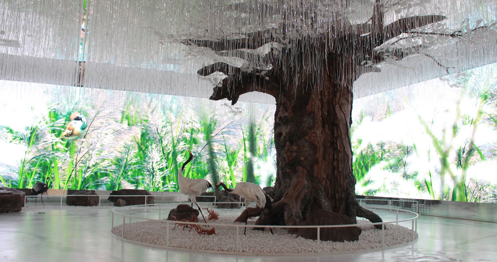 1531805296965615w7QF.jpg IMG_1151.JPG